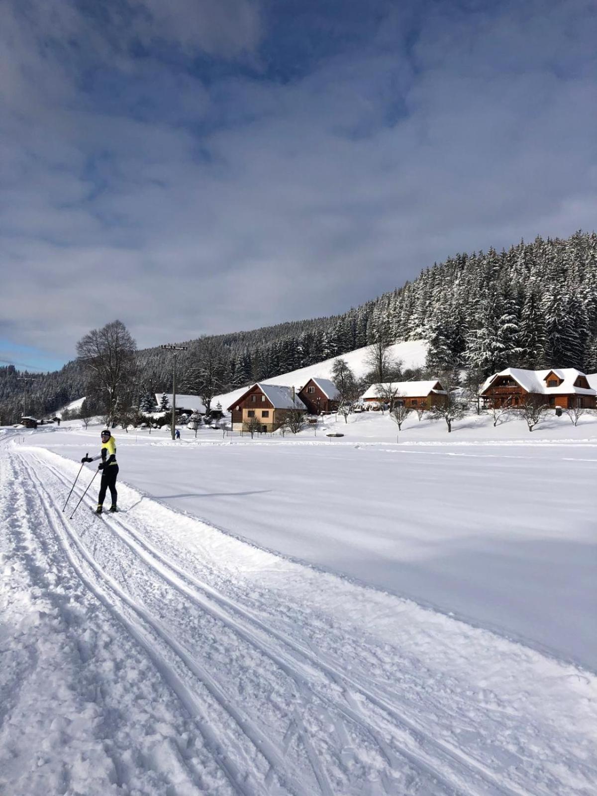 Chalet Pod Senkem - Komora